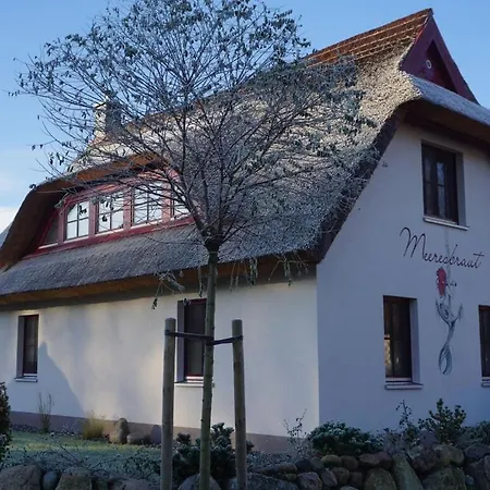 Holiday home Meeresbraut Comfortable *